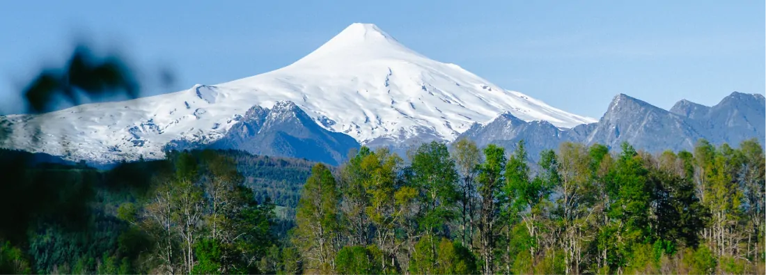 Grupo Terra · Nuevo Legado